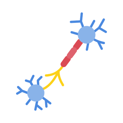 Polyneuropathie